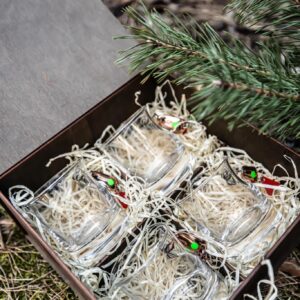 Набір з 4 склянок для віскі «Блешня»